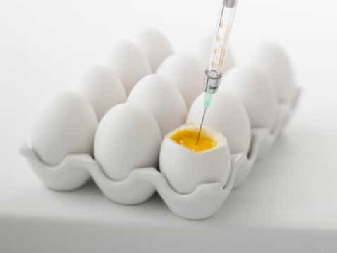 MEET our resident Natural Fertility Specialist Jessica Bourke: Natural preparation for IVF