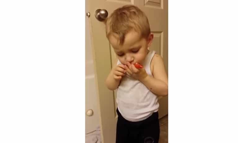WATCH: Little boys farewell to pet is heart-melting!