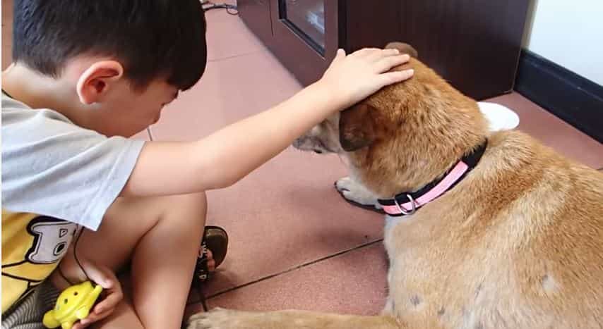 Pass the tissues: Saying goodbye to the family dog