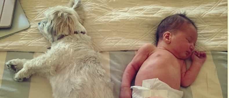 So Zot right now: The oddest celebrity baby names of 2015 (so far)
