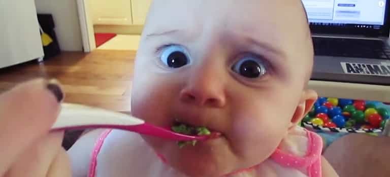 WATCH: Baby tries avocado. Is NOT impressed. WATCH: Baby tries avocado. Is NOT impressed.