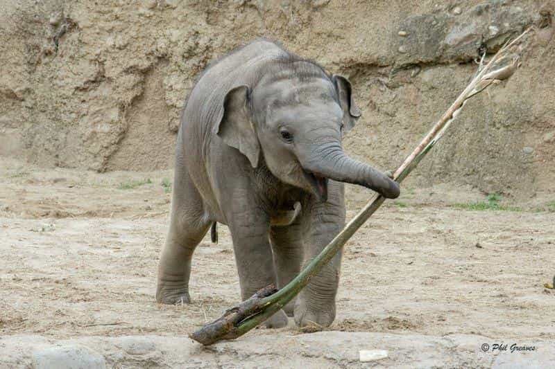 [CLOSED] COMPETITION: We’re giving away an annual family pass to Dublin zoo!