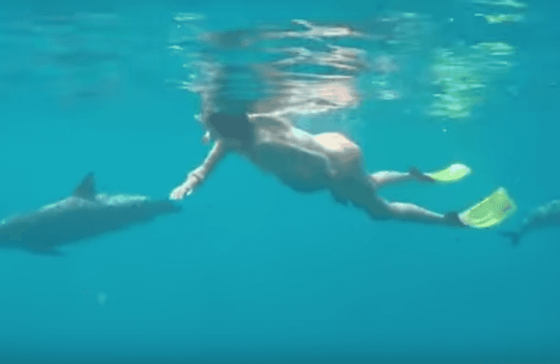 Newsflash: Dolphin-assisted birth may be a bad idea