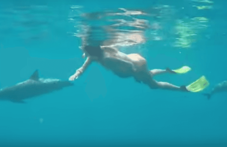Newsflash: Dolphin-assisted birth may be a bad idea