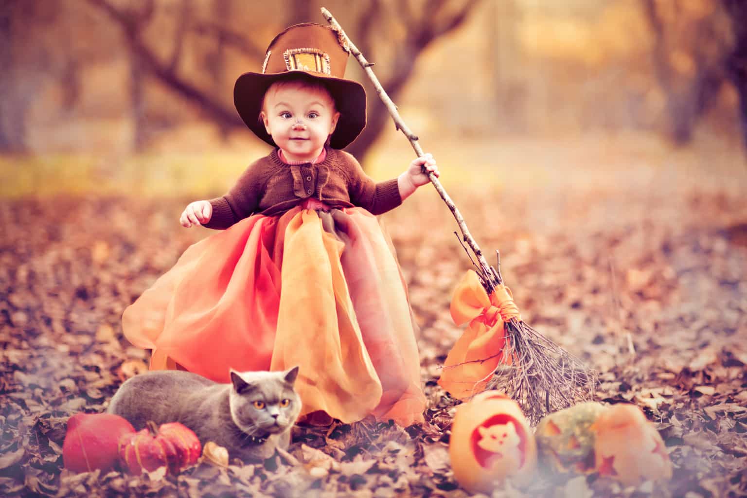 The definitive guide to Ireland’s SPOOKIEST family events this mid-term