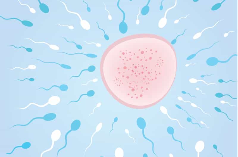 5 Unusual Uses For Sperm (Besides Baby-Making)