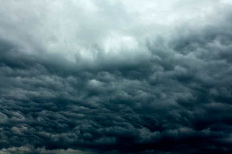 Looks like we’ll be spending the rest of the week indoors as weather set to worsen
