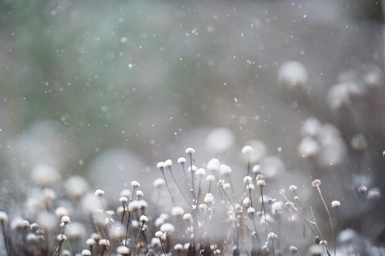 Heavy wintry showers predicted for today