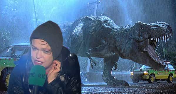 Storm Desmond: Teresa Mannion is the new Hero of the Nation