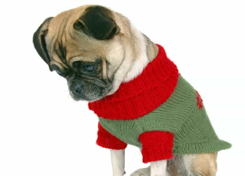 Today is the worst day of the festive season according to survey (not sure we needed telling)