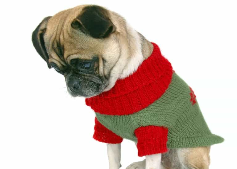Today is the worst day of the festive season according to survey (not sure we needed telling)