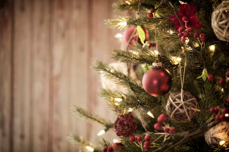 Woman asks strangers to “adopt” her and her son for Christmas