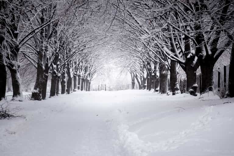 There’s “every chance” we’ll have a white Christmas