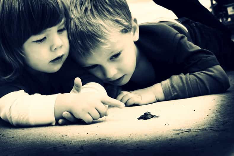 What Do Small Kids Really Believe About The Birds And The Bees?