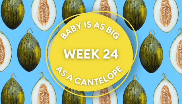 Your baby at 24 weeks pregnant: Week-by-week guide to development