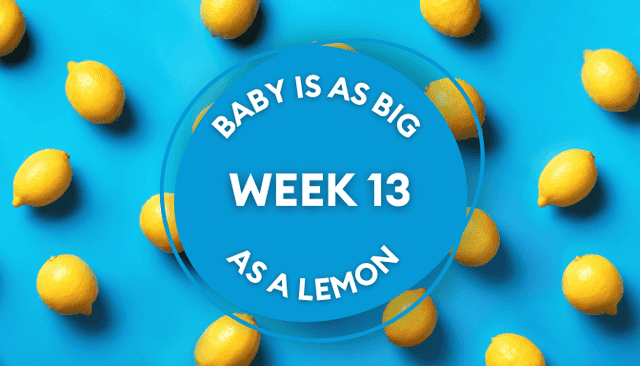 Your baby at 13 weeks pregnant: Week-by-week guide to development