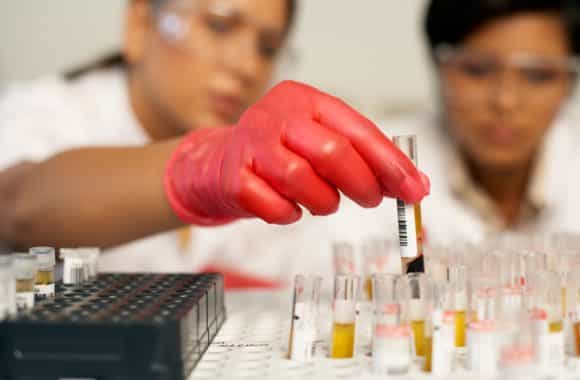 Two Cases Of Zika Virus Confirmed In Ireland Two Cases Of Zika Virus Confirmed In Ireland