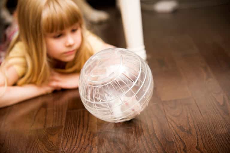 Aww… Little Girl Buys Her Big Brother a Hamster and His Reaction Is Lovely!