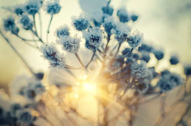 You May Wrap Up Warm Today… It’s Going To Be a Cold One