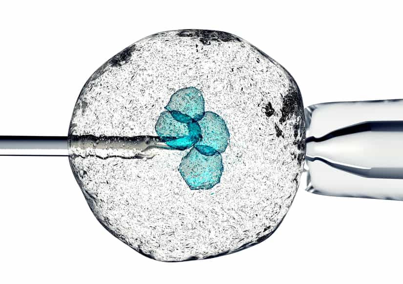 Motherless Babies Could Soon Be A Thing