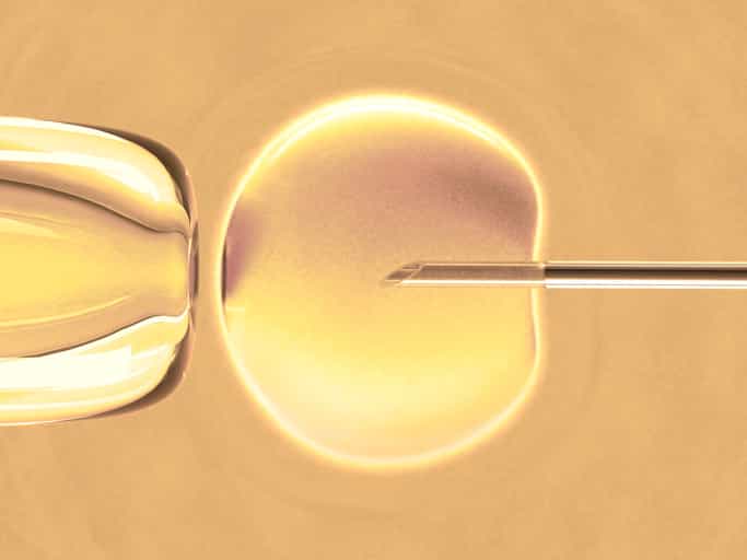 Chat Show Shocker: “I’m Not Paying For You To Have An IVF Baby”