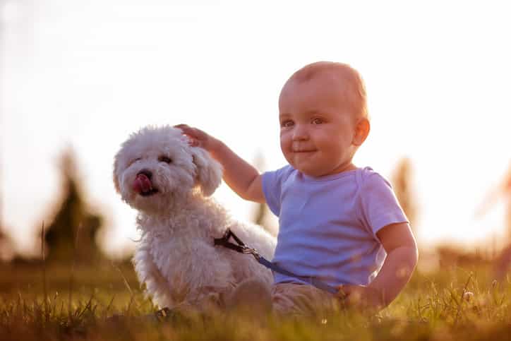 These were the 10 most popular DOG names of 2018 These were the 10 most popular DOG names of 2018