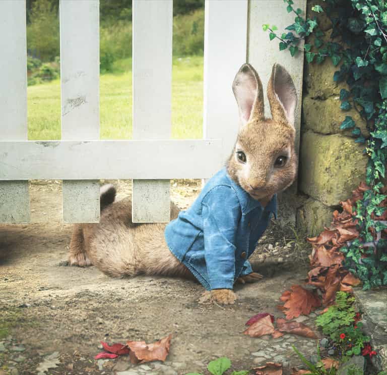 5 reasons we all adored Peter Rabbit growing up (and he’s making a BIG return!)