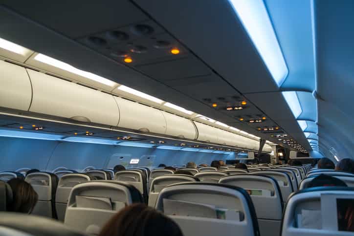 Dog dies after owner is forced to put it in overhead bin on flight