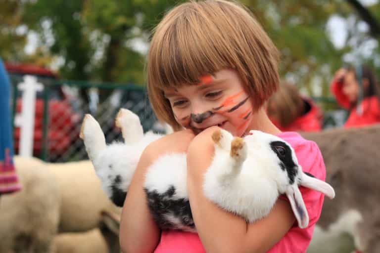 3 fun and family-friendly events to bring the kids to in Dublin this long weekend 3 fun and family-friendly events to bring the kids to in Dublin this long weekend