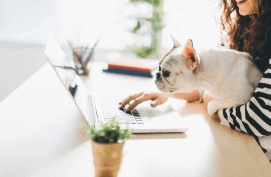 Tomorrow is national bring your dog to work day and we are so happy