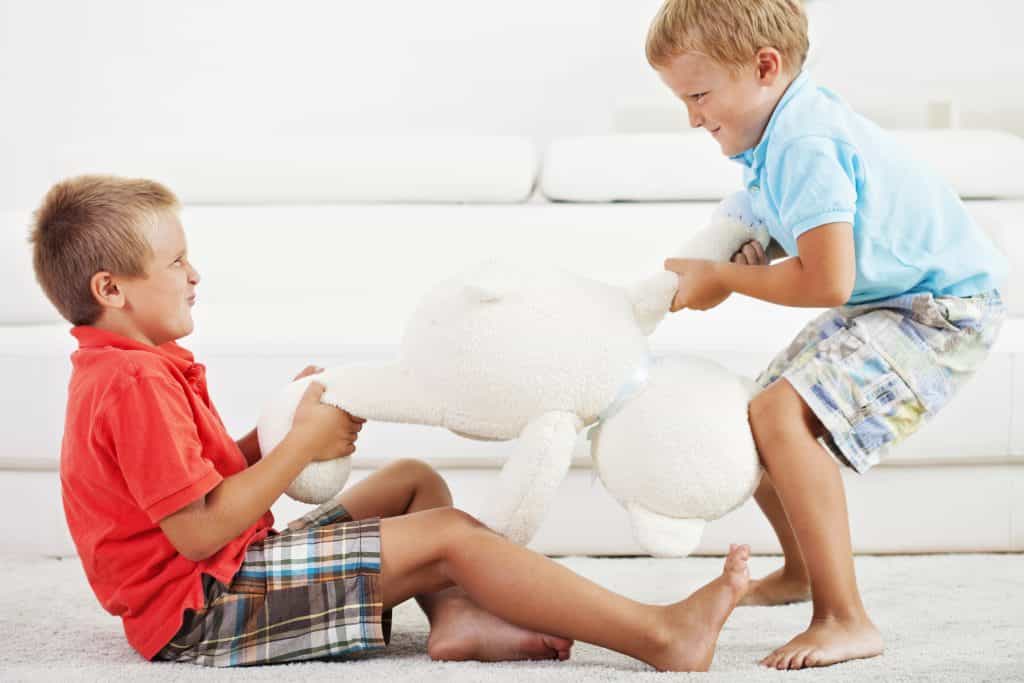 Mum criticised for telling her 5-year-old son to defend himself from younger brother