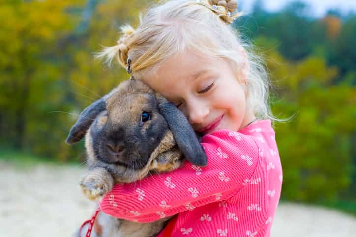Mums, this Dublin pet expo will keep the kids entertained for the weekend