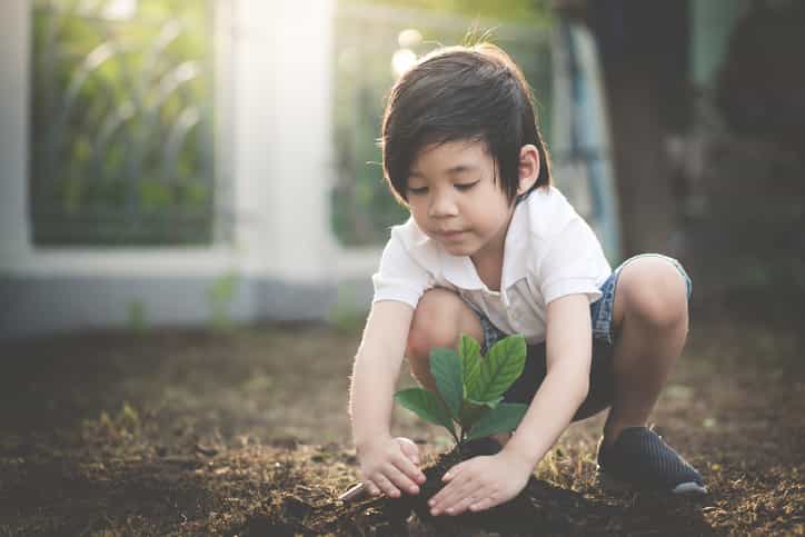 This tree planting event in Cork would be the ideal family day out