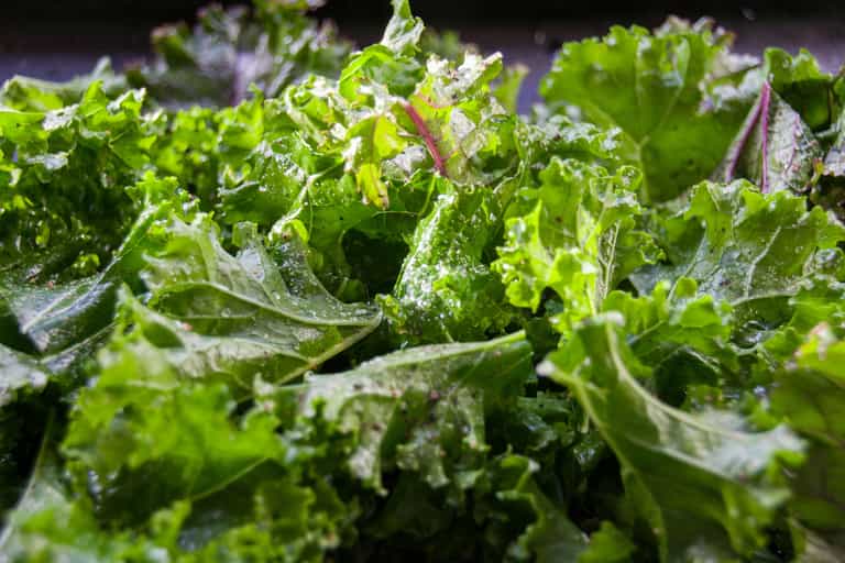 Organic kale recalled from SuperValu and Dunnes over health and safety fears Organic kale recalled from SuperValu and Dunnes over health and safety fears