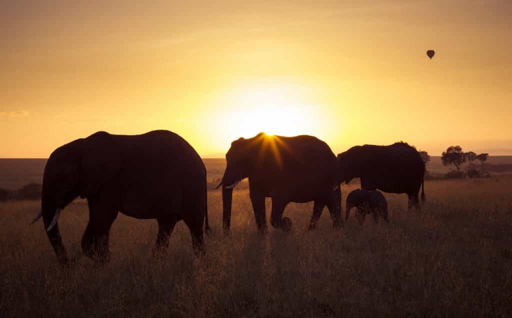 How to travel South Africa with the kids and make for a magical experience