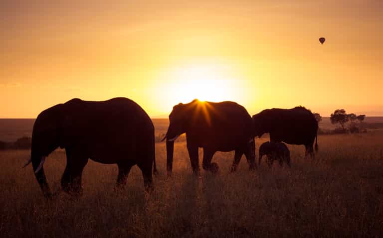 How to travel South Africa with the kids and make for a magical experience