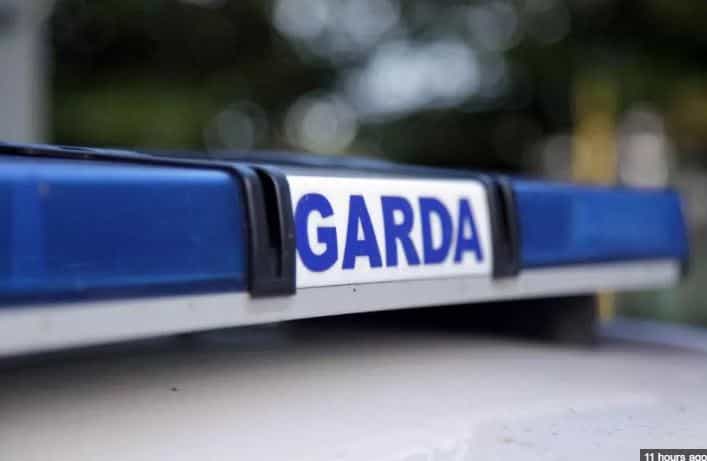 Gardaí are appealing for help in finding a missing therapy pony