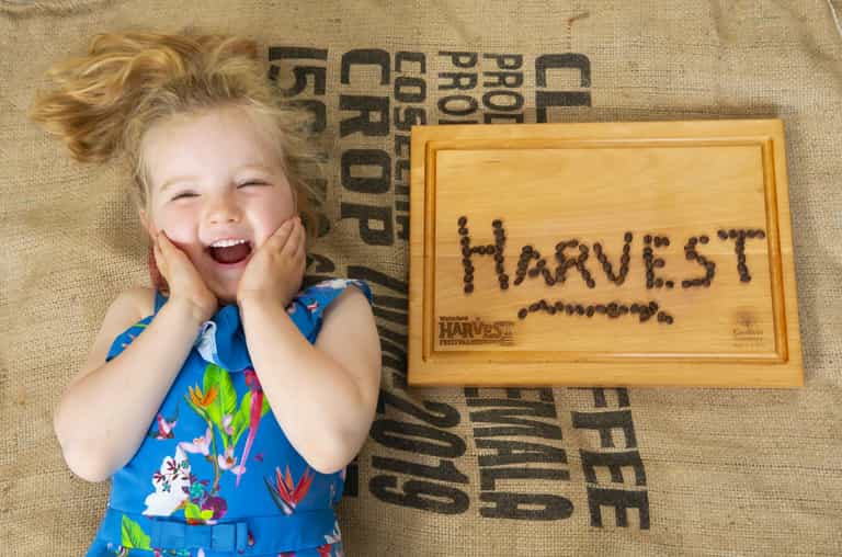 Free family fun and lots of food at Waterford Harvest Festival this week