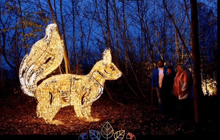 Wonderlights is coming to Dublin and you’ll want to get the whole family involved