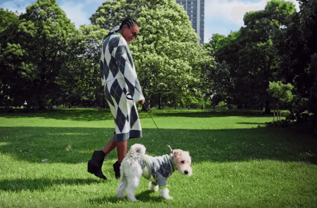 H&M have launched a matching human and dog sweater collection