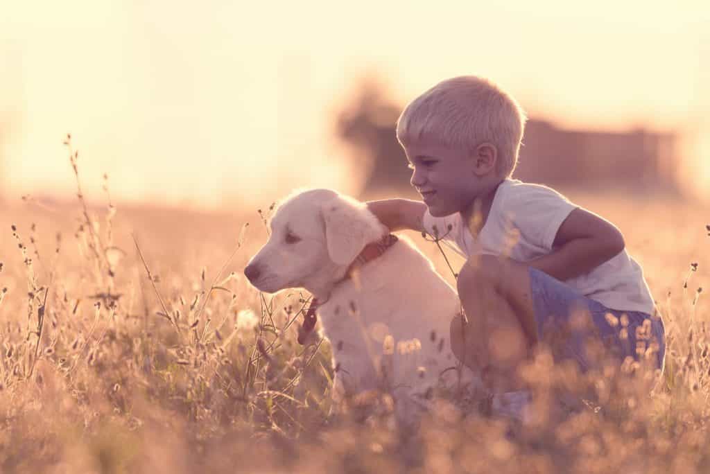 Seven-year-old boy wins award after rescuing more than a thousand dogs