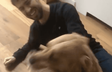 WATCH: Dog graciously stops owner from leaving the house due to coronavirus