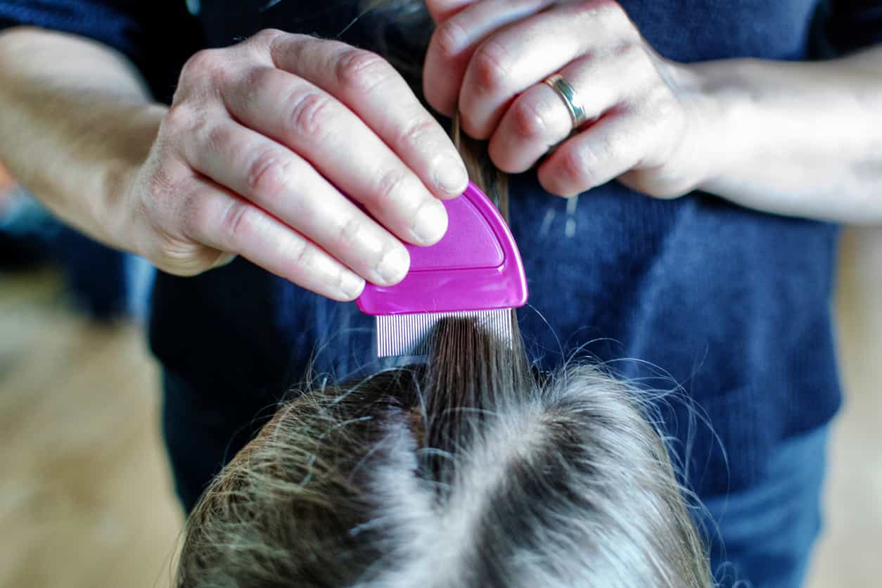 Child hospitalised with head-lice as neglect goes unnoticed in lockdown, says report