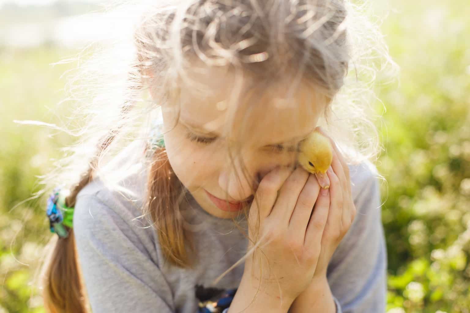 Irish animal charities are asking parents not to buy baby ducks for their children