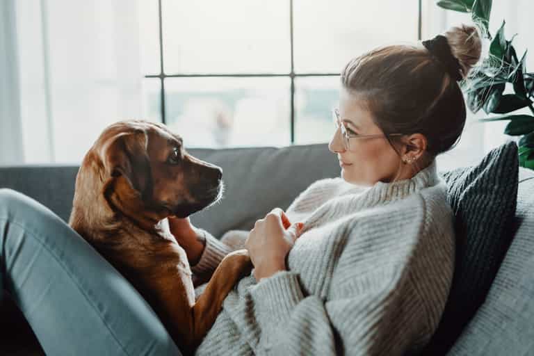 Channel 4 looking for wannabe dog owners for new dog rescue show