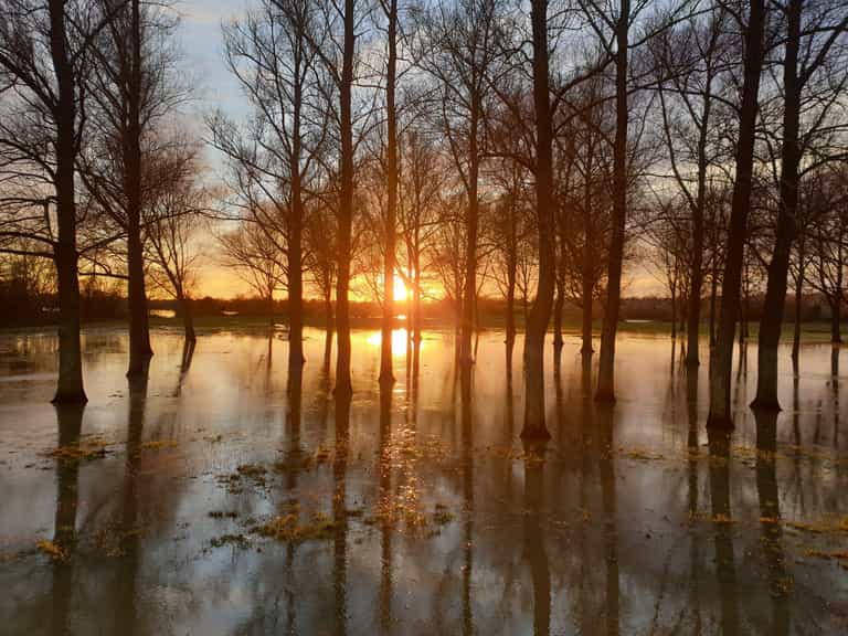 Ireland to become warmer and wetter due to climate change