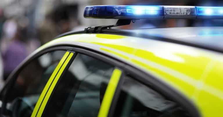 Teen boy jailed for luring friend, 12, to woods and stabbing him 70+ times