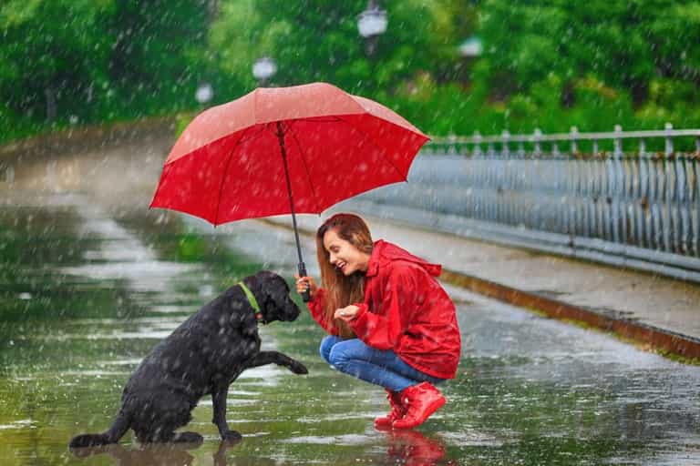 Heavy rain and unsettled conditions forecast for Bank Holiday weekend
