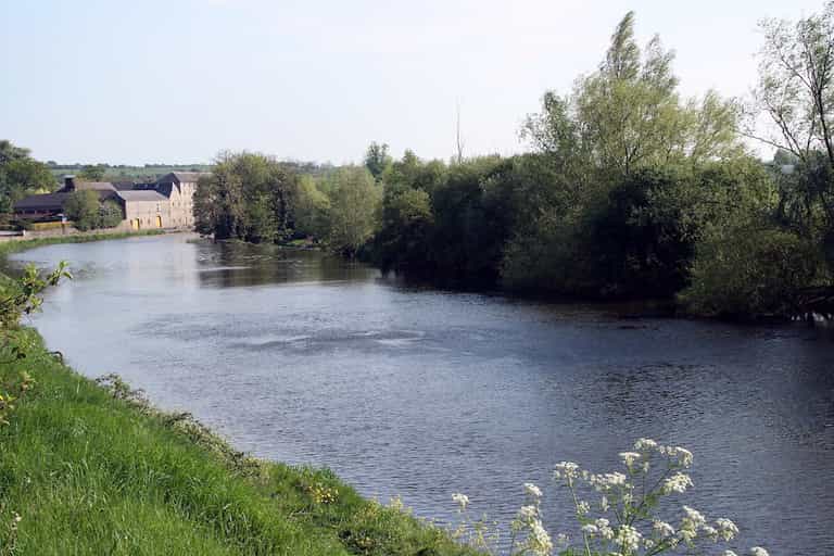 Man (30s) dies after getting into difficulty in River Barrow in Co. Carlow
