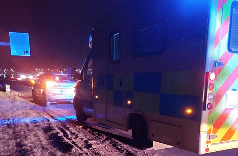 Hero Gardaí praised after helping deliver baby on side of the M7